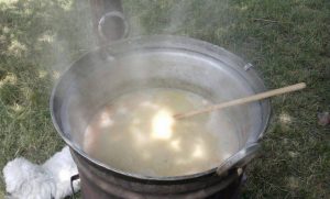 peiprema pasulja na vanjinom jazu