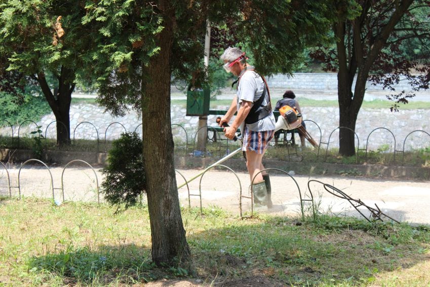foto: zajecaronline.com