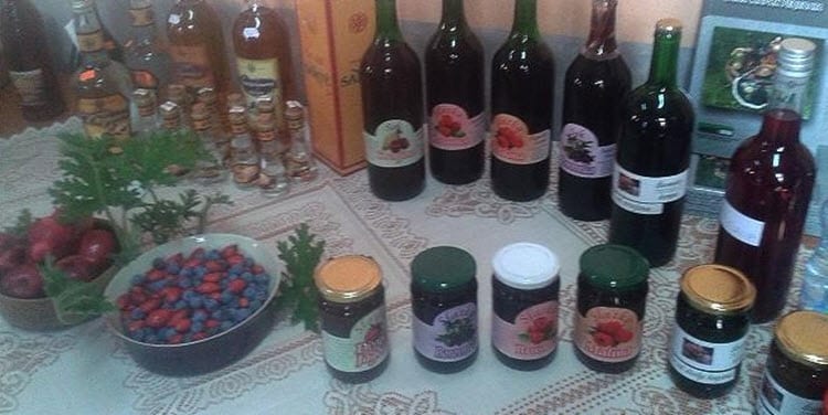 vino