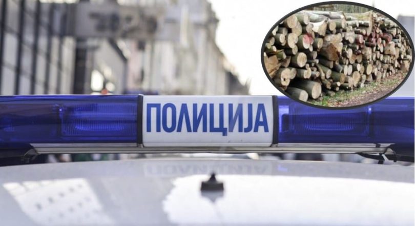 uhapšeni zbog šumske krađe