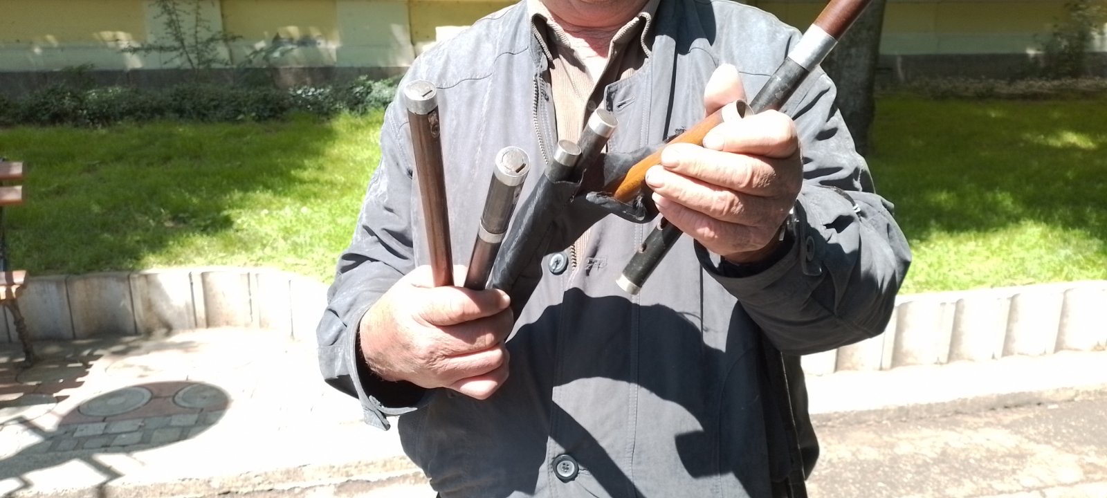 živojin fanović