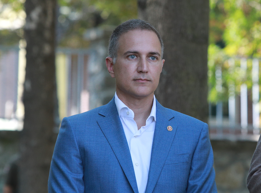 Nebojša Stefanović Foto:ATA images