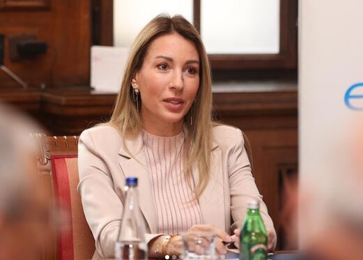 dubravka đedović stabilna energetska situacija