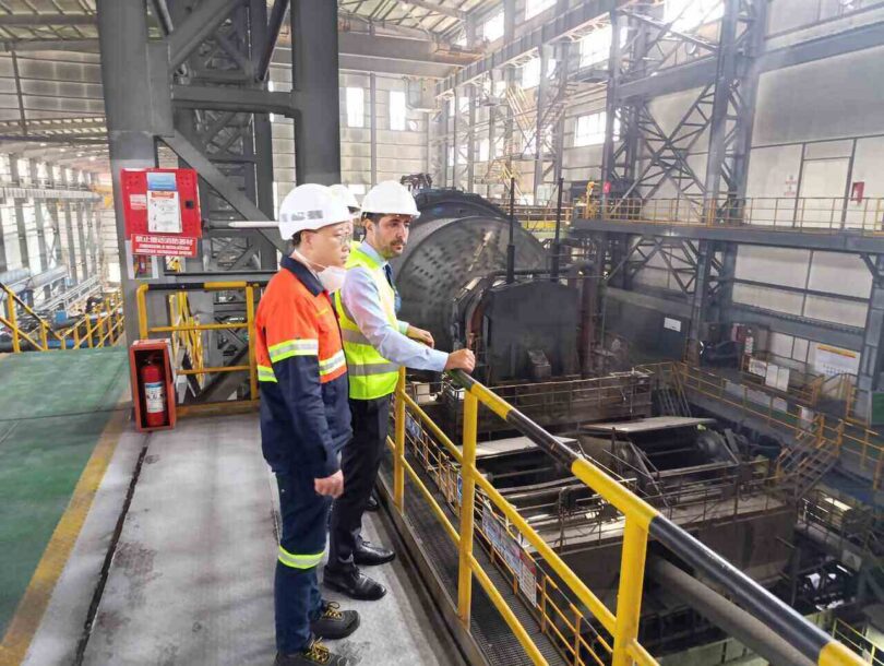 Tomislav Momirović u Boru