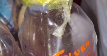 laboratorija za proizvodnju metamfetamina u Boru toluen