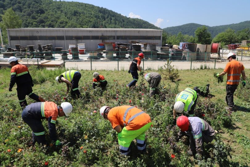 Saznajte detaljnije na potalu zajecaronline, čitajte o svim dešavanjima u gradu i okolini
